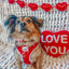 Dog Collar - Little Love