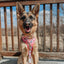 Dog Adjustable Harness - STAR WARS™ Princess Leia