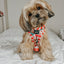 Dog Adjustable Harness - Hot Cocoa Club