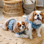 Light Blue Fair Isle Dog Sweater