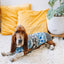 Light Blue Fair Isle Dog Sweater