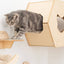 Cat Wall Mounted Bed