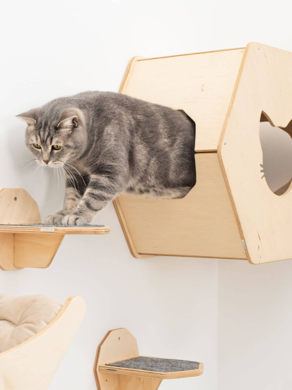 Cat Wall Mounted Bed