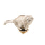 Wooden Cat Step - Light