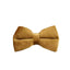Light Coffee Velvet Set