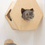Cat Wall Mounted Bed