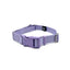 Martingale Dog Collar