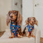 Dog Adjustable Harness - Superman™ & Krypto™