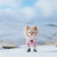 Dog Adjustable Harness - Candy Cane Coquette