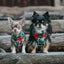Dog Adjustable Harness - Jingle Barks