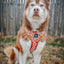 Dog Adjustable Harness - Chocolate Milk