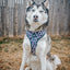 Dog Adjustable Harness - Whole Milk