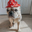 Dog Bucket Hat - Disney's 101 Dalmatians