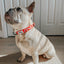 Dog Collar - Disney's 101 Dalmatians