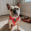 Dog Adjustable Harness - Disney's 101 Dalmatians