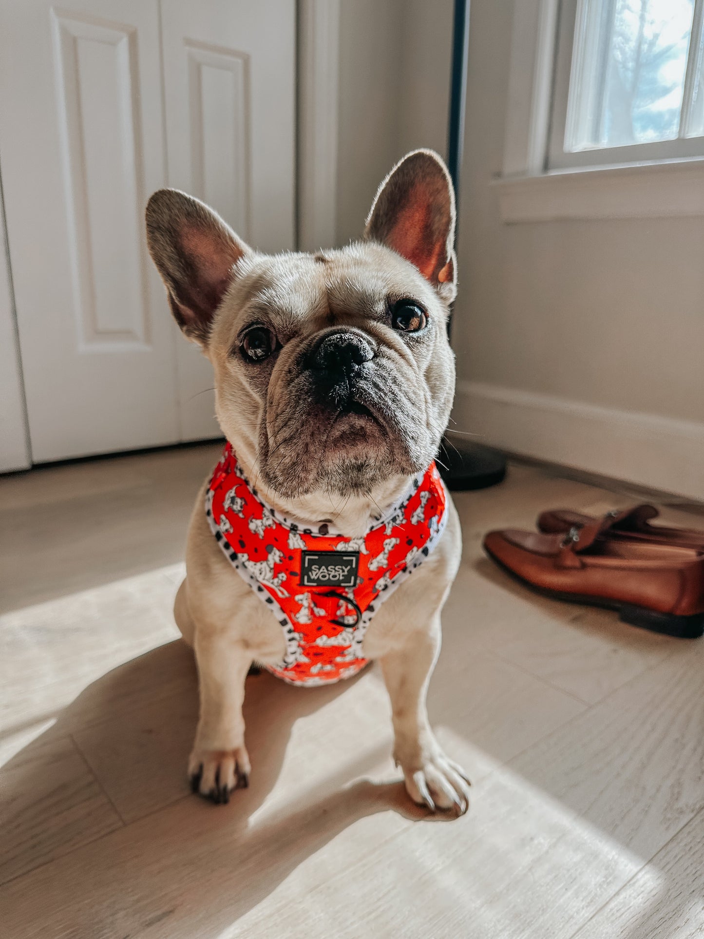 Dog Adjustable Harness - Disney's 101 Dalmatians