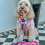 Dog Reversible Harness - Floral Frenzy