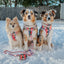 Dog Adjustable Harness - Disney's Bambi