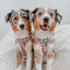 Dog Two Piece Bundle - Hello Kitty® & Friends Flower Festival