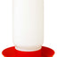 Little Giant 1 Quart Chicken Feeder & Waterer – Plastic Screw-On Jar & Base (Sold Separately)