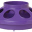 Little Giant 1 Quart Chicken Feeder & Waterer – Plastic Screw-On Jar & Base (Sold Separately)