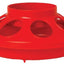 Little Giant 1 Quart Chicken Feeder & Waterer – Plastic Screw-On Jar & Base (Sold Separately)