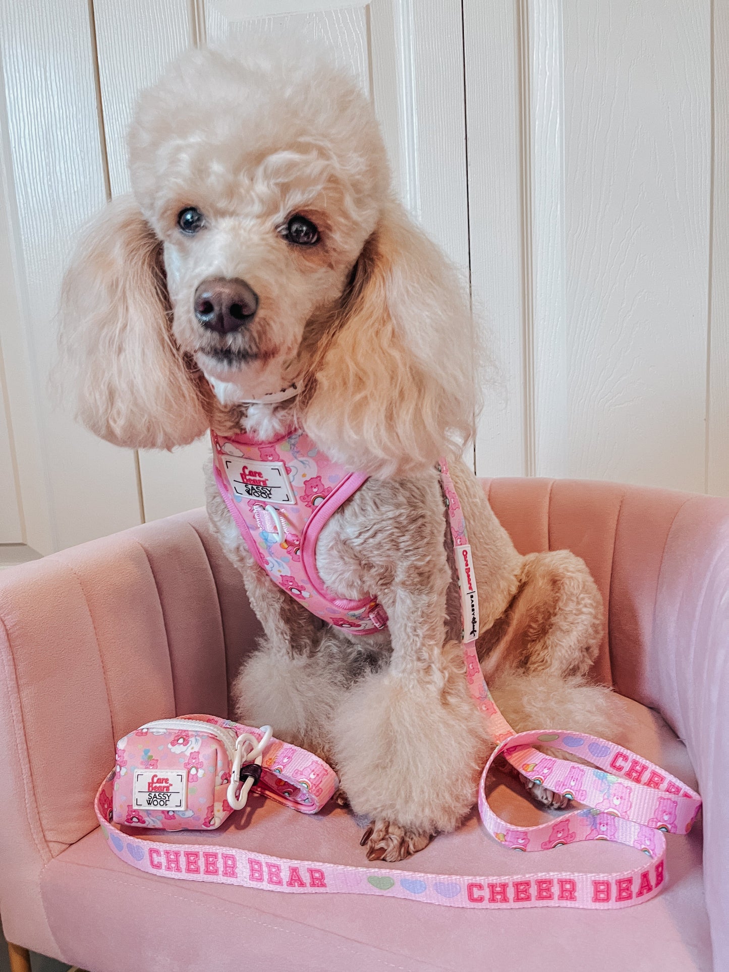 Dog Adjustable Harness - Care Bears™ Cheer Bear