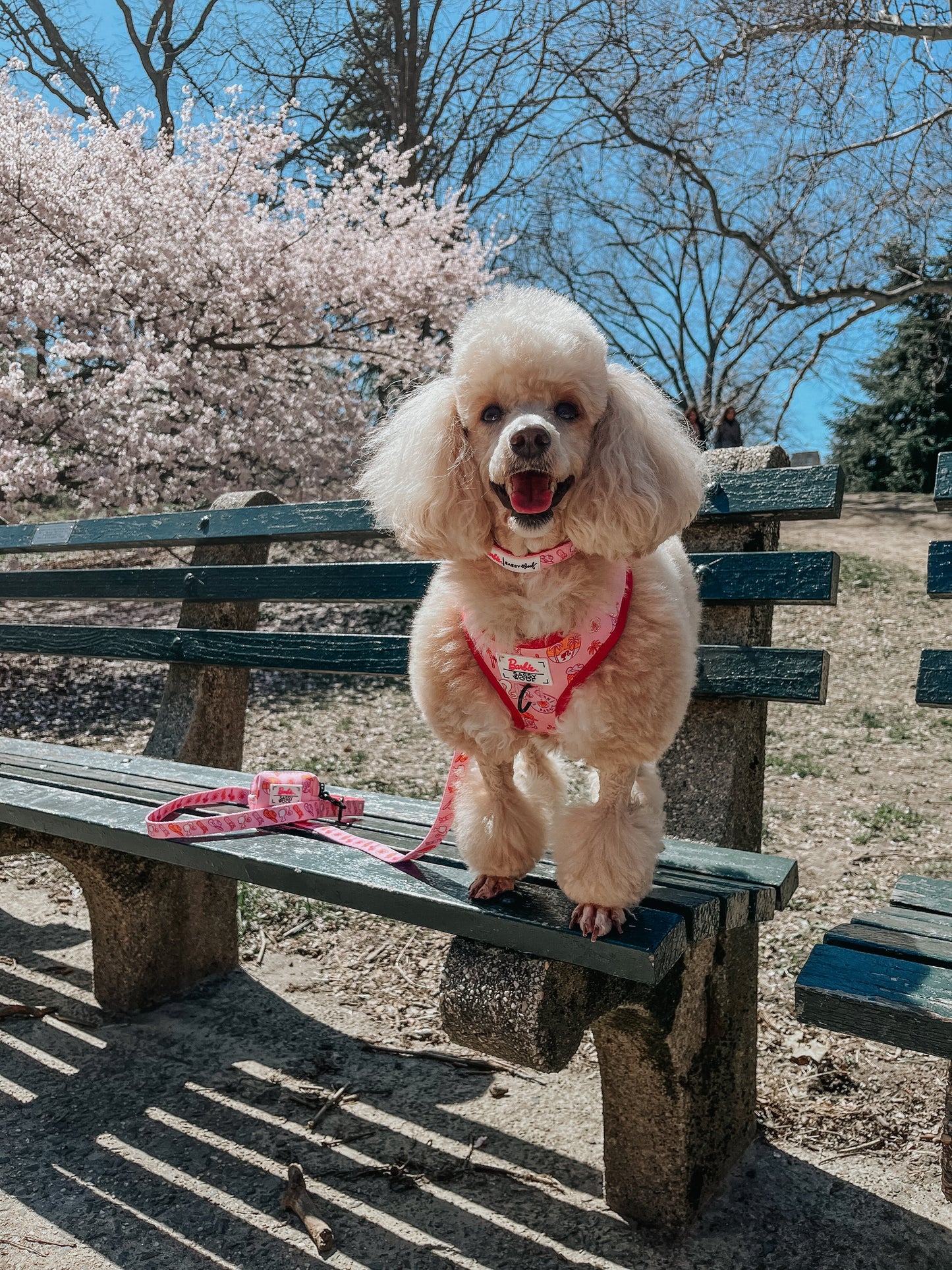Dog Adjustable Harness - Western Barbie™