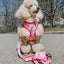 Dog Leash - Western Barbie™