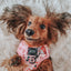 Dog Adjustable Harness - Candy Cane Coquette