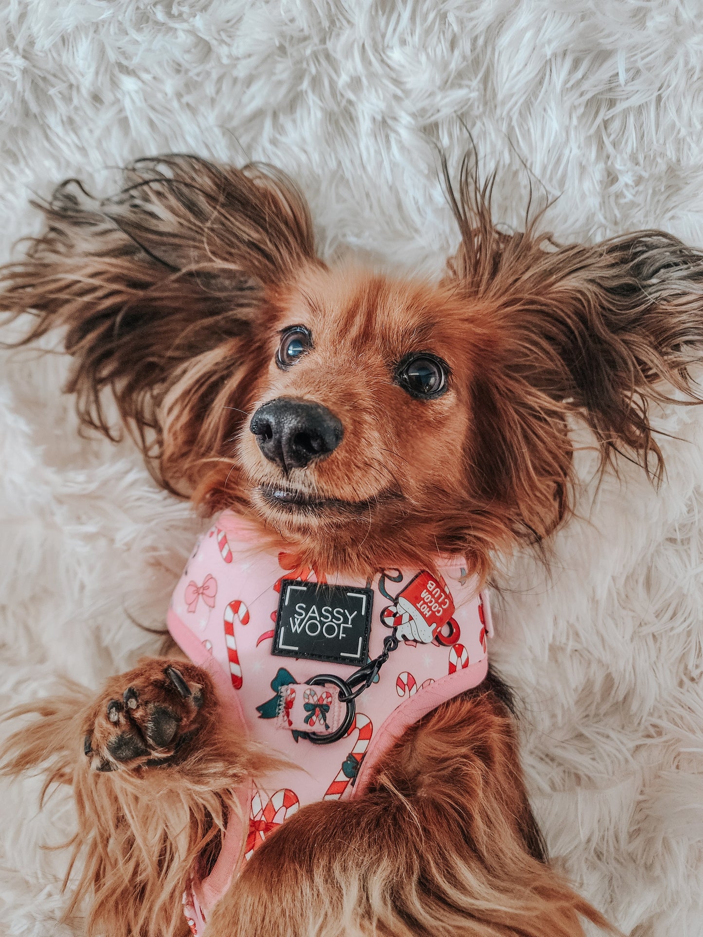 Dog Adjustable Harness - Candy Cane Coquette