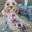 Dog Adjustable Harness - Candy Cane Coquette