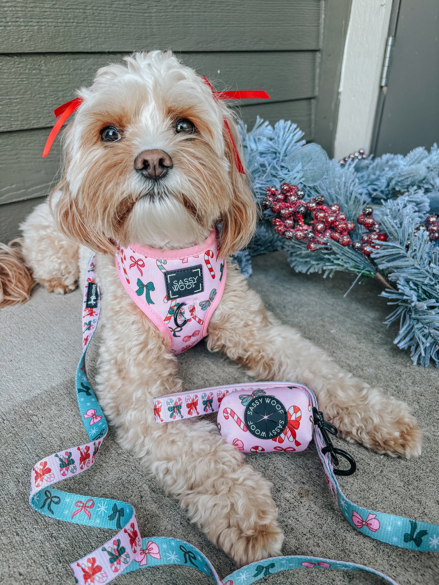Dog Adjustable Harness - Candy Cane Coquette