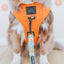 Dog Leash - Must Be the Honey