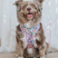 Dog Two Piece Bundle - Hello Kitty® & Friends Flower Festival