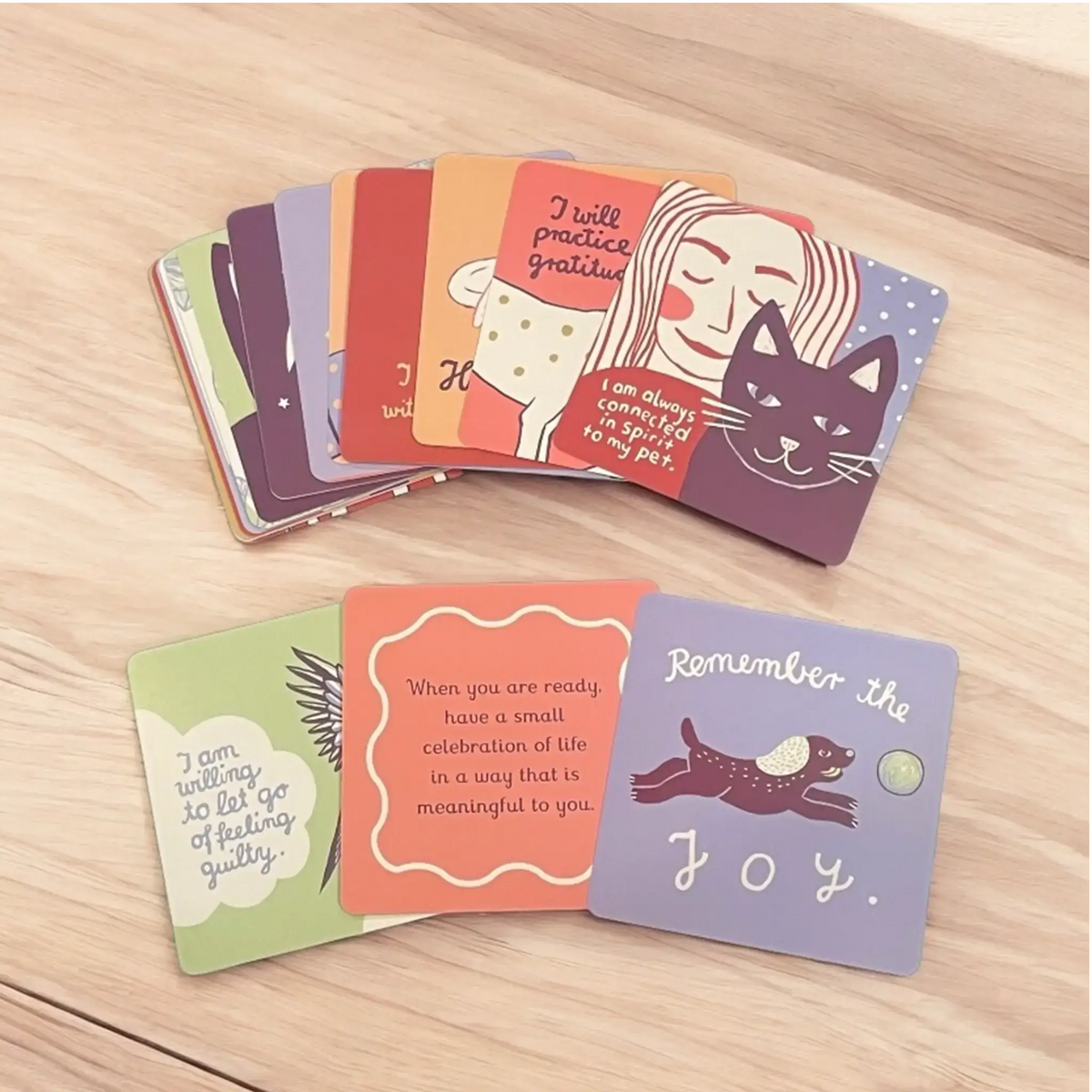 Pet Collar Display Frame & Pet Loss Cards | Memorial Gift Set