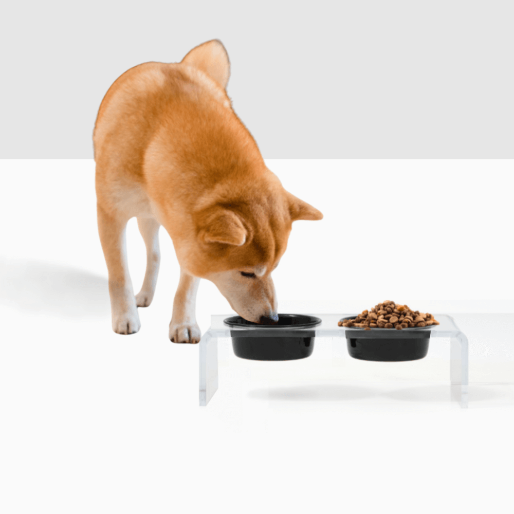 Small Black or White Bowl Feeder