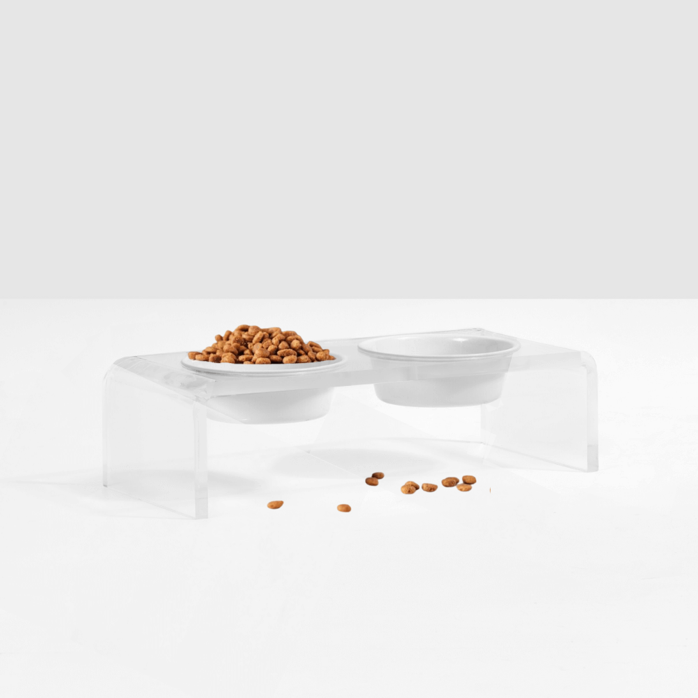 Small Black or White Bowl Feeder