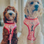 Dog Adjustable Harness - Western Barbie™
