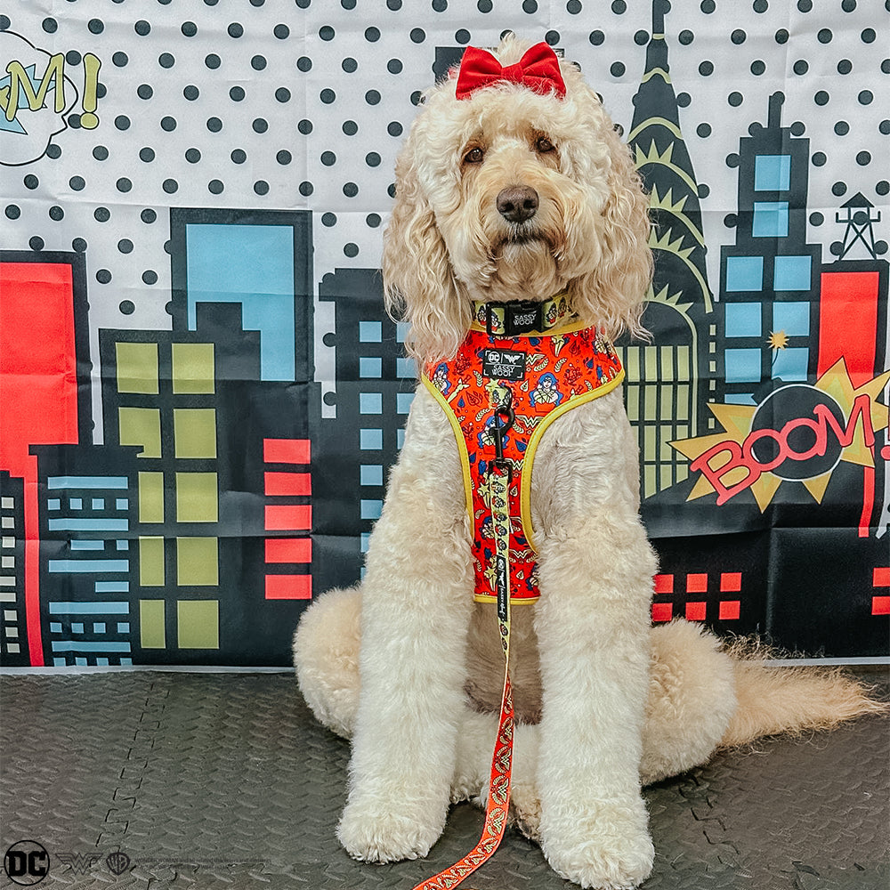 Dog Adjustable Harness - Wonder Woman™