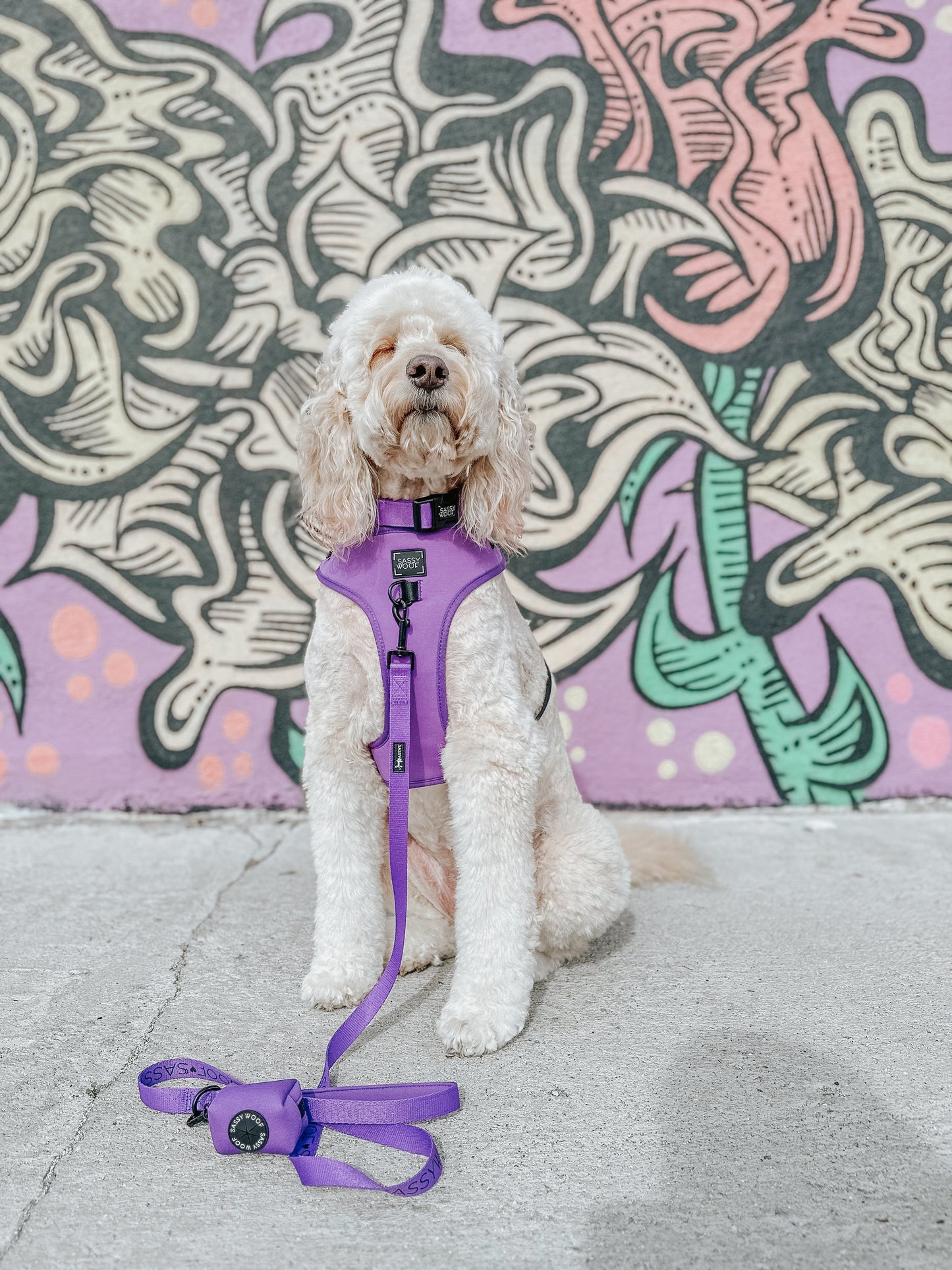 Dog Leash - Neon Purple