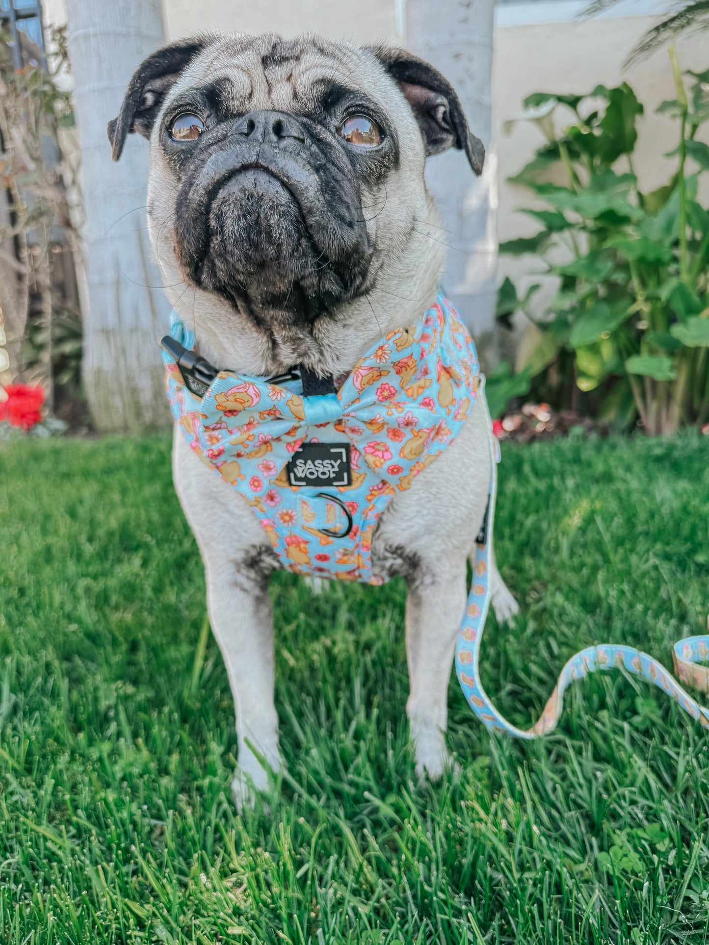 Dog Leash - Good Duck, Babe!