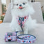 Dog Adjustable Harness - Harley Quinn™