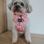 Dog Adjustable Harness - Dough My Goodness