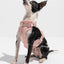 Luxe Harness