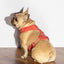 Luxe Harness - Poppy