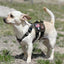 K9R - M5 MOLLE Light Vest