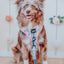 Dog Adjustable Harness - Magnolia