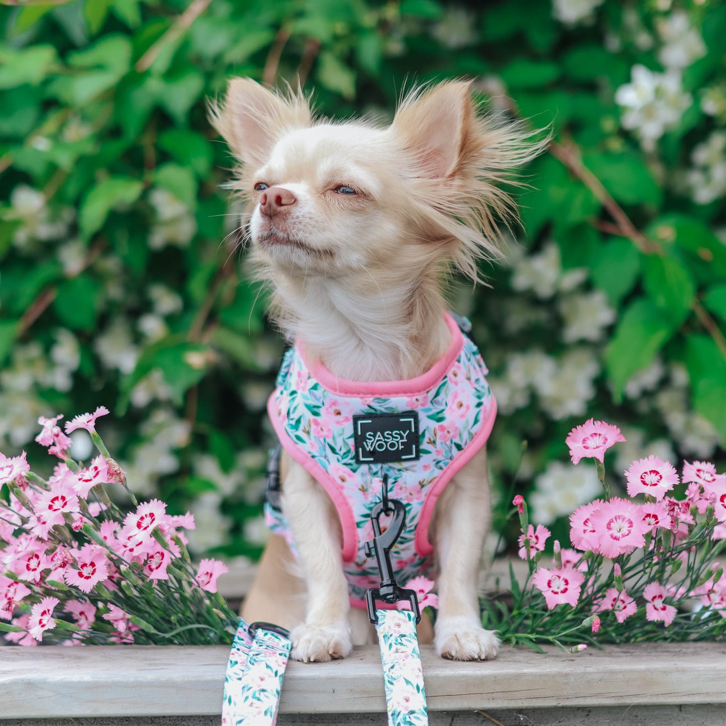 Dog Adjustable Harness - Magnolia