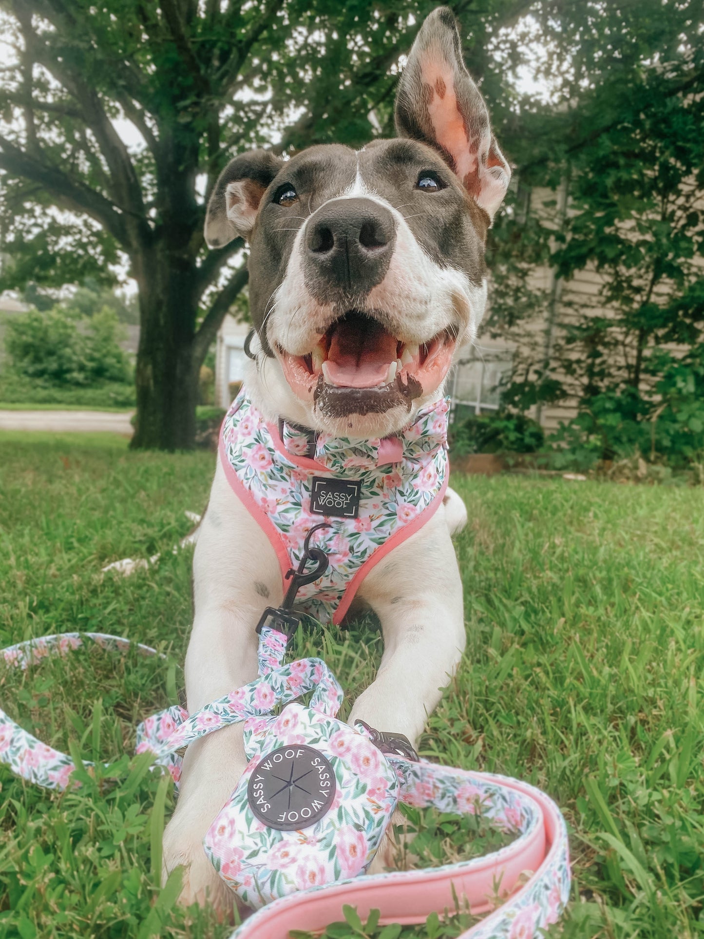 Dog Leash - Magnolia